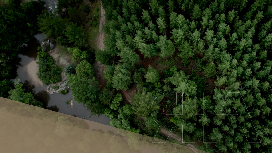 gestion-bosques-recursos-naturales